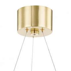 Whit 20-Light Aged Brass and Black Chandelier by MITZI HUDSON VALLEY LIGHTING -EcoSmart Sales aged brass black mitzi hudson valley lighting chandeliers h382820 agb bk 44 1000