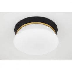 Cath 12.75 in. 2-Light Aged Brass/Black Flush Mount by MITZI HUDSON VALLEY LIGHTING 11 Cath 12.75 in. 2-Light Aged Brass/Black Flush Mount by MITZI HUDSON VALLEY LIGHTING -EcoSmart Sales aged brass black mitzi hudson valley lighting flush mount lights h425502 agb bk 44 1000