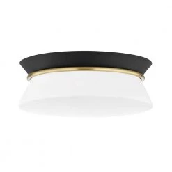 Cath 12.75 in. 2-Light Aged Brass/Black Flush Mount by MITZI HUDSON VALLEY LIGHTING