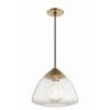 Maya 1-Light 12 in. W Aged Brass Pendant with Clear Crackle Glass Shade by MITZI HUDSON VALLEY LIGHTING 2 Maya 1-Light 12 in. W Aged Brass Pendant with Clear Crackle Glass Shade by MITZI HUDSON VALLEY LIGHTING -EcoSmart Sales aged brass mitzi hudson valley lighting chandeliers h216701l agb 64 1000