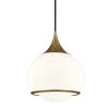 Reese 1-Light Aged Brass Medium Pendant by MITZI HUDSON VALLEY LIGHTING 1 Reese 1-Light Aged Brass Medium Pendant by MITZI HUDSON VALLEY LIGHTING -EcoSmart Sales aged brass mitzi hudson valley lighting chandeliers h281701m agb 64 1000