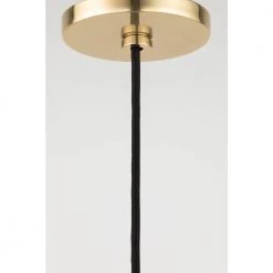 Dani 22 in. 1-Light Aged Brass Pendant with Glass Shade by MITZI HUDSON VALLEY LIGHTING -EcoSmart Sales aged brass mitzi hudson valley lighting chandeliers h380701a agb 4f 1000