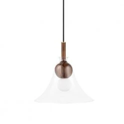 Dani 16 in. 1-Light Aged Brass Pendant with Glass Shade by MITZI HUDSON VALLEY LIGHTING