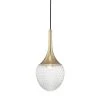 Bella 1-Light Aged Brass 22.25 in. H Pendant with Clear Glass by MITZI HUDSON VALLEY LIGHTING