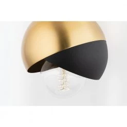 Emma 1-Light Aged Brass Pendant with Black Accents by MITZI HUDSON VALLEY LIGHTING 8 Emma 1-Light Aged Brass Pendant with Black Accents by MITZI HUDSON VALLEY LIGHTING -EcoSmart Sales aged brass mitzi hudson valley lighting pendant lights h168701 agb bk 4f 1000