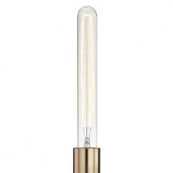 Ava 1-Light Aged Brass 16.5 in. H Wall Sconce by MITZI HUDSON VALLEY LIGHTING -EcoSmart Sales aged brass mitzi hudson valley lighting vanity lighting h109101a agb c3 1000