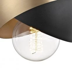 Emma 1-Light Aged Brass Wall Sconce with Black Accents by MITZI HUDSON VALLEY LIGHTING -EcoSmart Sales aged brass mitzi hudson valley lighting vanity lighting h168101 agb bk 1f 1000