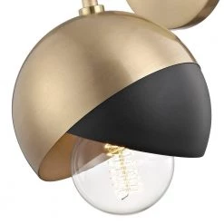 Emma 1-Light Aged Brass Wall Sconce with Black Accents by MITZI HUDSON VALLEY LIGHTING -EcoSmart Sales aged brass mitzi hudson valley lighting vanity lighting h168101 agb bk 4f 1000