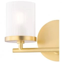 Ryan 2-Light Aged Brass Bath Light with Clear Frosted Glass Shade by MITZI HUDSON VALLEY LIGHTING 12 Ryan 2-Light Aged Brass Bath Light with Clear Frosted Glass Shade by MITZI HUDSON VALLEY LIGHTING -EcoSmart Sales aged brass mitzi hudson valley lighting vanity lighting h239302 agb c3 1000