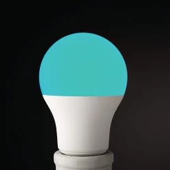 60-Watt Equivalent A19 CEC Color Changing LED Party Light Bulb Starter Kit with Remote (1-Pack) by EcoSmart -EcoSmart Sales ecosmart colored light bulbs 11a19060wrgbw01 44 1000