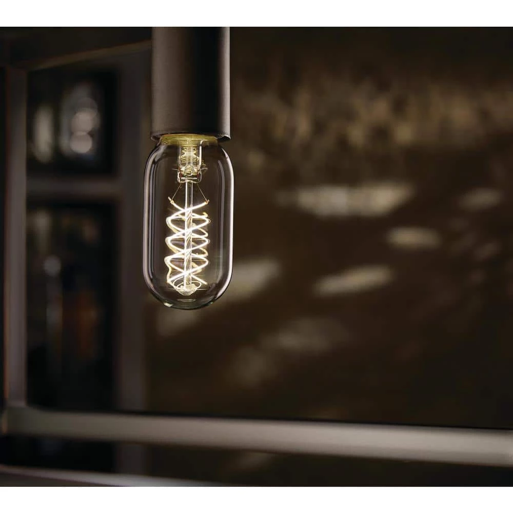 40-Watt Equivalent T14 Dimmable Fine Bendy Filament LED Vintage Edison Light Bulb Soft White (1-Pack) by EcoSmart 9 40-Watt Equivalent T14 Dimmable Fine Bendy Filament LED Vintage Edison Light Bulb Soft White (1-Pack) by EcoSmart - Image 7