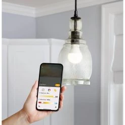 100-Watt Equivalent Smart Hubspace A21 Color Changing CEC LED Light Bulb with Voice Control (1-Bulb) by EcoSmart -EcoSmart Sales ecosmart led light bulbs 11a21100wrgbwh1 1f 1000