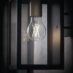 60-Watt Equivalent A19 Dimmable CEC Dusk to Dawn Clear Glass Filament LED Light Bulb Soft White by EcoSmart -EcoSmart Sales ecosmart led light bulbs 11cfa1960wdtd01 44 1000