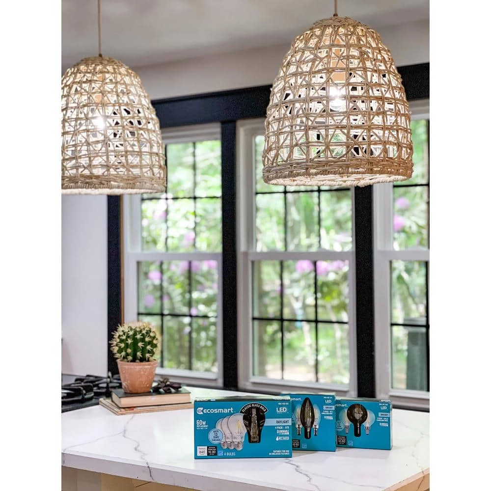 60-Watt Equivalent A19 Dimmable Energy Star Clear Filament Vintage Style LED Light Bulb Daylight (4-Pack) by EcoSmart 5 60-Watt Equivalent A19 Dimmable Energy Star Clear Filament Vintage Style LED Light Bulb Daylight (4-Pack) by EcoSmart - Image 3