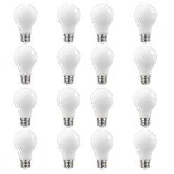 60-Watt Equivalent A19 Dimmable Frosted Filament LED Light Bulb Daylight (16-Pack) by EcoSmart