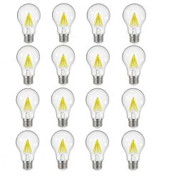 60-Watt Equivalent A19 Dimmable Clear Filament Vintage Style LED Light Bulb Soft White (16-Pack) by EcoSmart