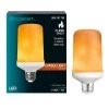3-Watt Equivalent T60 Cylinder Flame Design LED Light Bulb Amber (1-Pack) by EcoSmart