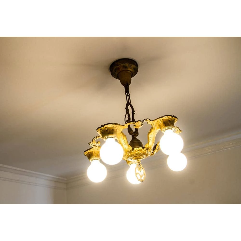 60-Watt Equivalent G25 Globe Dimmable Frosted Glass Filament Vintage Style LED Light Bulb Daylight (12-Pack) by EcoSmart 7 60-Watt Equivalent G25 Globe Dimmable Frosted Glass Filament Vintage Style LED Light Bulb Daylight (12-Pack) by EcoSmart - Image 5