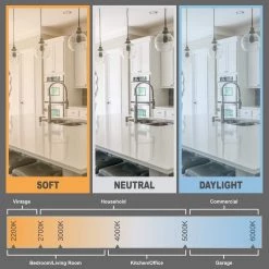 60-Watt Equivalent G16.5 Globe Dimmable Frosted Glass Filament Vintage LED Light Bulb Soft White (3-Pack) by EcoSmart -EcoSmart Sales ecosmart led light bulbs fg 03151 31 1000