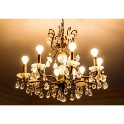 60-Watt Equivalent G16.5 Globe Dimmable Frosted Glass Filament Vintage LED Light Bulb Soft White (12-Pack) by EcoSmart -EcoSmart Sales ecosmart led light bulbs fg 03151x4 c3 1000