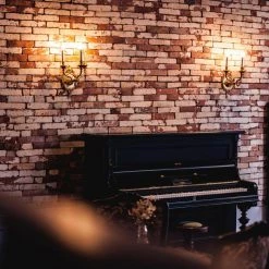 60-Watt Equivalent B11 Dimmable Clear Glass Filament Vintage Edison LED Light Bulb Daylight (12-Pack) by EcoSmart -EcoSmart Sales ecosmart led light bulbs fg 03266x4 fa 1000