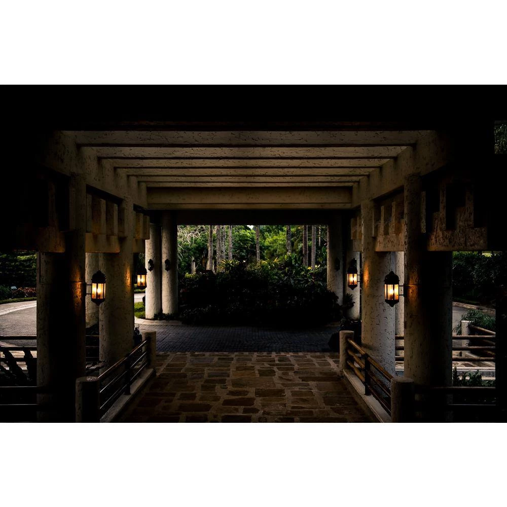 60-Watt Equivalent B11 Dimmable E12 Candelabra Flame Bent Tip Clear Glass LED Vintage Edison Light Bulb Daylight(3-Pack) by EcoSmart 10 60-Watt Equivalent B11 Dimmable E12 Candelabra Flame Bent Tip Clear Glass LED Vintage Edison Light Bulb Daylight(3-Pack) by EcoSmart - Image 8