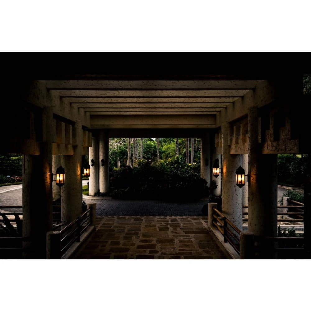 60- -Watt Equivalent B11 Dimmable Blunt Tip Candle Clear Glass Edison Filament LED Light Bulb Soft White (3-Pack) by EcoSmart 5 60- -Watt Equivalent B11 Dimmable Blunt Tip Candle Clear Glass Edison Filament LED Light Bulb Soft White (3-Pack) by EcoSmart - Image 3