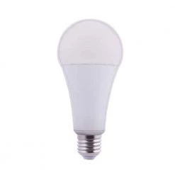 300-Watt Equivalent A23 Energy Star Dimmable LED Light Bulb Daylight by EcoSmart