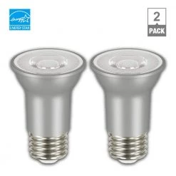 EcoSmart Sales -EcoSmart Sales glass like silver ecosmart led light bulbs a20pr1660wesd32 66 1000
