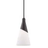 Parker 1-Light Glossy Black Pendant by MITZI HUDSON VALLEY LIGHTING -EcoSmart Sales glossy black mitzi hudson valley lighting chandeliers h312701 blk 64 1000