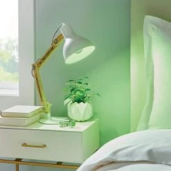 40-Watt Equivalent A19 Dimmable Filament Green Colored Glass LED Light Bulb (1-Pack) by EcoSmart -EcoSmart Sales green ecosmart colored light bulbs fg 04241 1d 1000