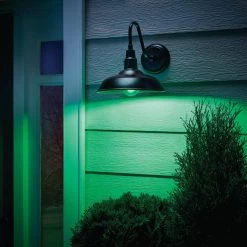 40-Watt Equivalent A19 Dimmable Filament Green Colored Glass LED Light Bulb (1-Pack) by EcoSmart -EcoSmart Sales green ecosmart colored light bulbs fg 04241 31 1000