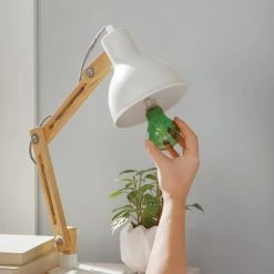 40-Watt Equivalent A19 Dimmable Filament Green Colored Glass LED Light Bulb (1-Pack) by EcoSmart -EcoSmart Sales green ecosmart colored light bulbs fg 04241 66 1000