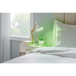 40-Watt Equivalent A19 Dimmable Filament Green Colored Glass LED Light Bulb (1-Pack) by EcoSmart -EcoSmart Sales green ecosmart colored light bulbs fg 04241 a0 1000