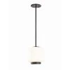 Jenny 1-Light 6.5 in. W Old Bronze Pendant with Opal Matte Glass Shade by MITZI HUDSON VALLEY LIGHTING -EcoSmart Sales old bronze mitzi hudson valley lighting pendant lights h190701s ob 64 1000
