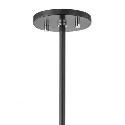 Phoenix 1-Light Polished Nickel and Black Pendant by MITZI HUDSON VALLEY LIGHTING -EcoSmart Sales polished nickel black mitzi hudson valley lighting chandeliers h386701 pn bk 1f 1000