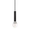 Via 1-Light Polished Nickel Pendant with Black Accents by MITZI HUDSON VALLEY LIGHTING 2 Via 1-Light Polished Nickel Pendant with Black Accents by MITZI HUDSON VALLEY LIGHTING -EcoSmart Sales polished nickel black mitzi hudson valley lighting pendant lights h169701 pn bk 64 1000