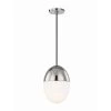 Orion 1-Light 7.5 in. W Polished Nickel Pendant with Opal Matte Glass Shade by MITZI HUDSON VALLEY LIGHTING -EcoSmart Sales polished nickel mitzi hudson valley lighting pendant lights h206701s pn 64 1000