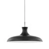 Cassidy 1-Light Polished Nickel/Soft Black Geometric Pendant with Metal Shade by MITZI HUDSON VALLEY LIGHTING -EcoSmart Sales polished nickel soft black mitzi hudson valley lighting chandeliers h421701l pn bk 64 1000