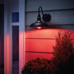 40-Watt Equivalent A19 Dimmable Filament Red Colored Glass LED Light Bulb (1-Pack) by EcoSmart 23 40-Watt Equivalent A19 Dimmable Filament Red Colored Glass LED Light Bulb (1-Pack) by EcoSmart -EcoSmart Sales red ecosmart colored light bulbs fg 04240 31 1000