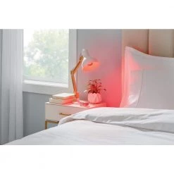 40-Watt Equivalent A19 Dimmable Filament Red Colored Glass LED Light Bulb (1-Pack) by EcoSmart 16 40-Watt Equivalent A19 Dimmable Filament Red Colored Glass LED Light Bulb (1-Pack) by EcoSmart -EcoSmart Sales red ecosmart colored light bulbs fg 04240 a0 1000