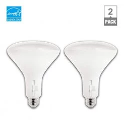65-Watt Equivalent BR30 CEC Dimmable LED Light Bulb with Selectable Color Temperature Plus DuoBright (2-Pack) by EcoSmart -EcoSmart Sales white ecosmart led light bulbs a20br3065wtes02 c3 1000